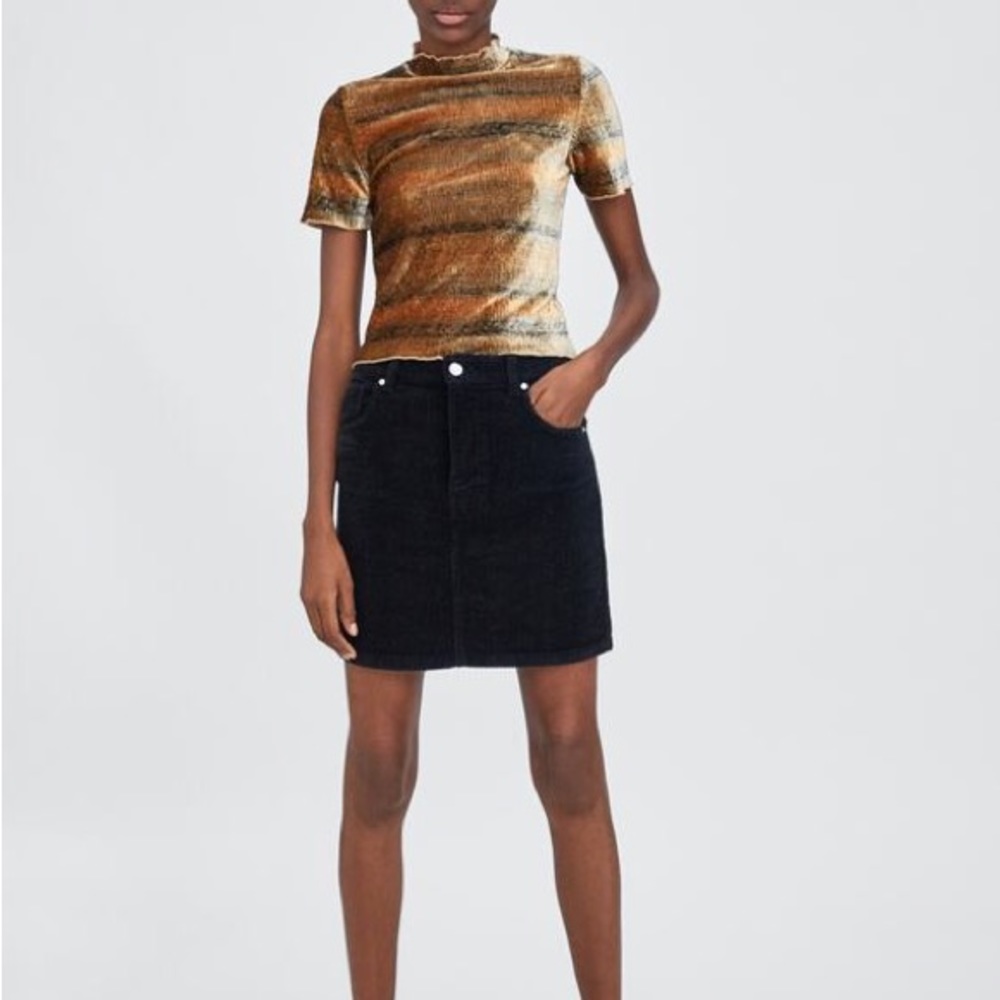 NWT ZARA Velvet Textured Top